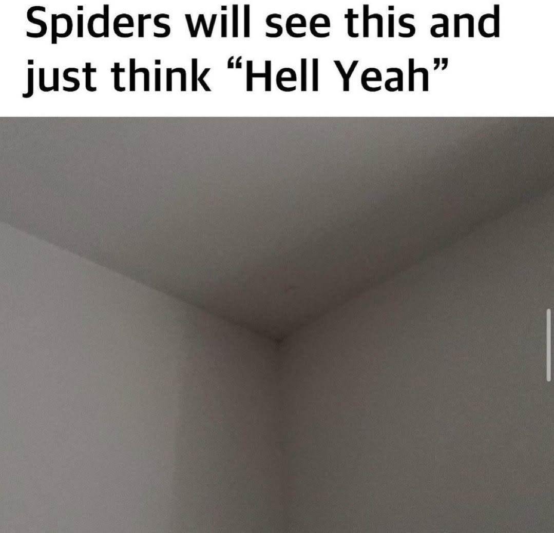 20 Memes That Are Chemically Incompatible With Sincere Conversations 20 Spiders will see this