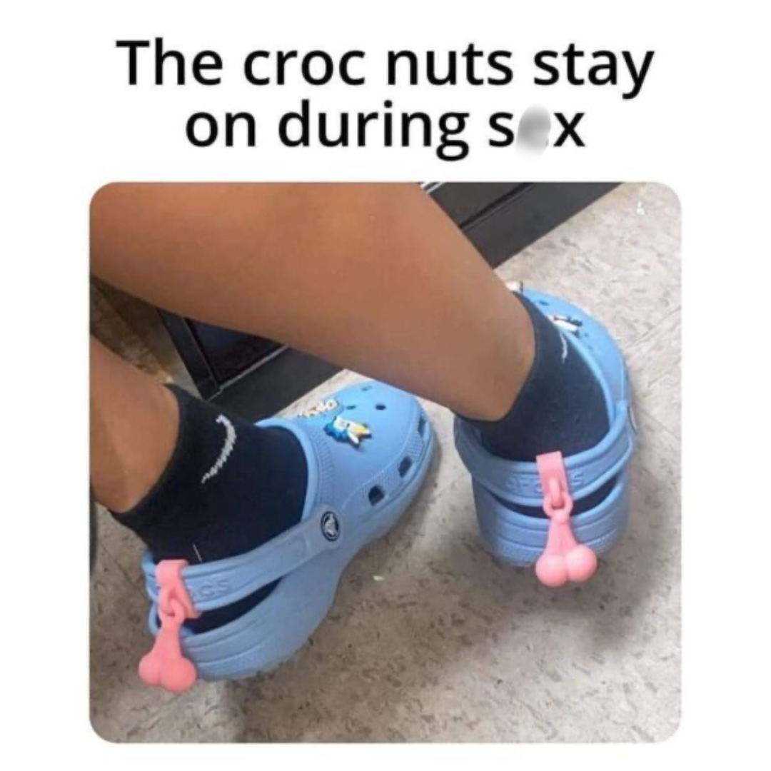 35 Memes I Sent My Crush, Because Who Needs Pickup Lines? 14 The croc nuts - Memes I Sent My Crush