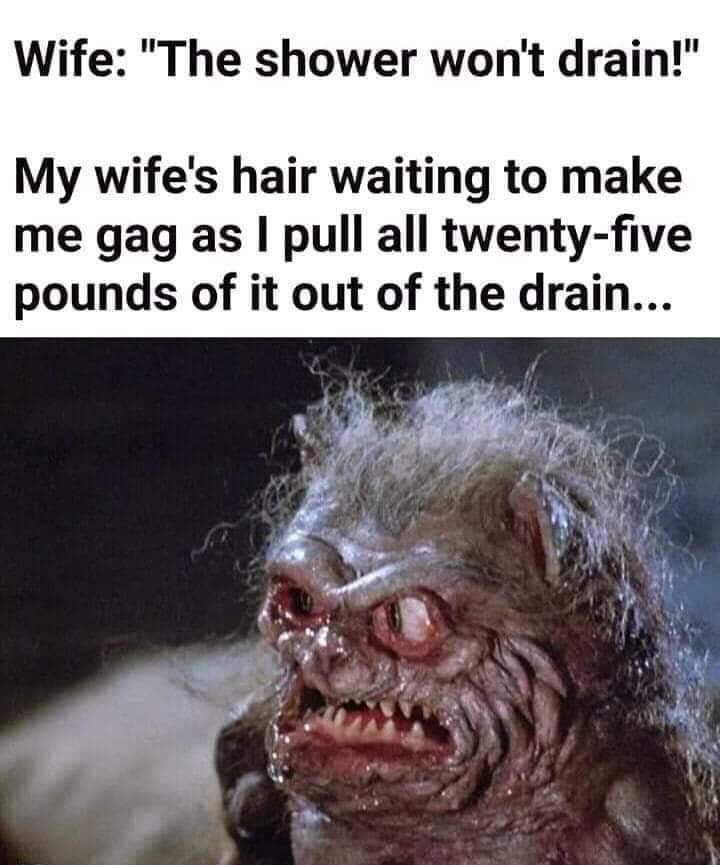 20 Memes That Make Complete Sense If You Don't Think About Them At All 17 The shower wont drain