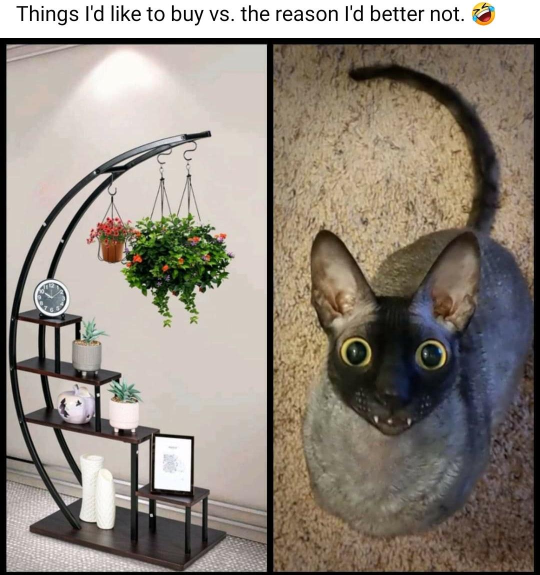 20 Memes So Utterly Deranged They Belongs In A Museum Of Unexplained Phenomena 13 Things Id like to buy