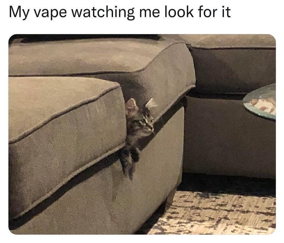 20 Innocent Memes Holding Hands With Absolute Filth 19 Vape watching me
