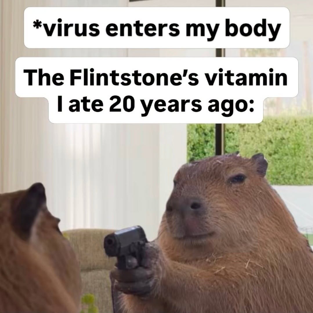20 Memes So Literal They Became Complete Nonsense 18 Virus enters my body