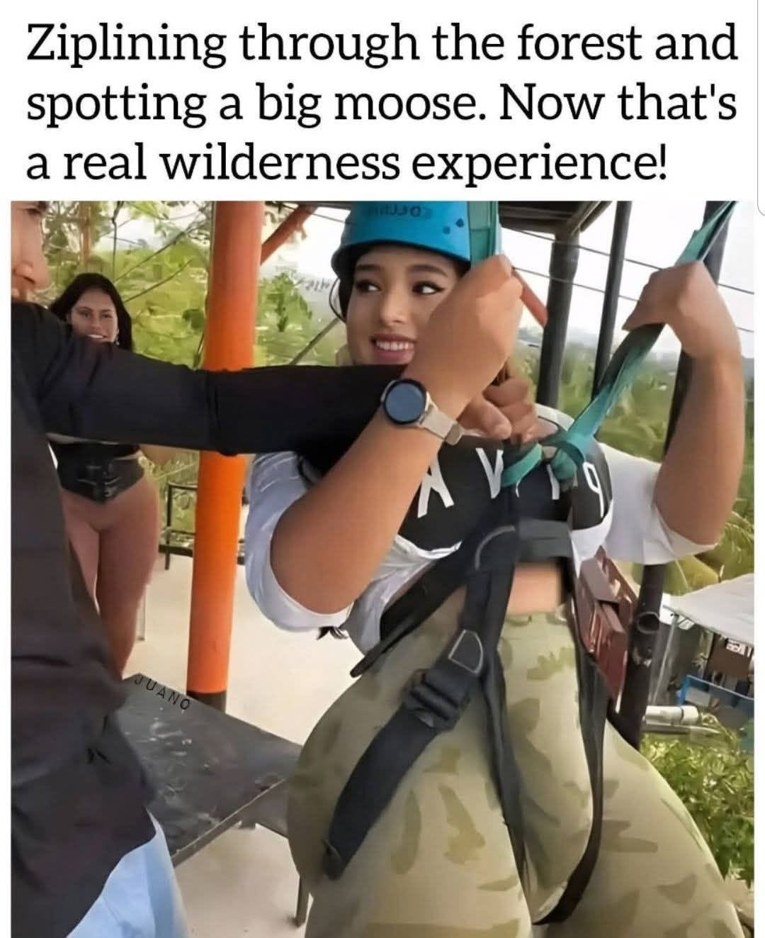 Zipline-thru-the-forest.jpeg