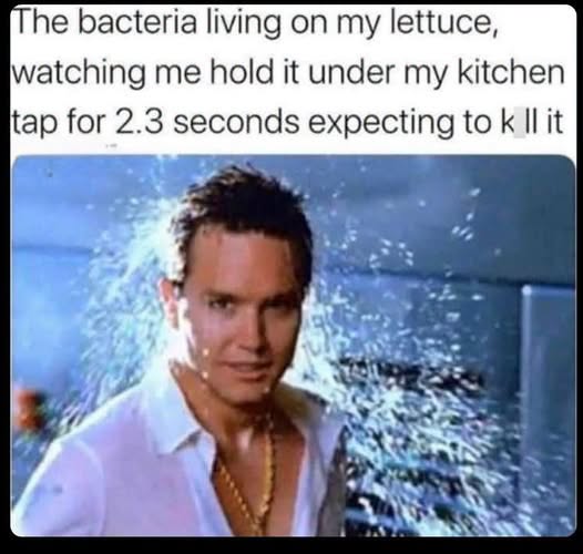 20 Memes That Slipped On A Banana Peel Of Irony And Landed On Pure Sass 4 bacteria living on lettuce