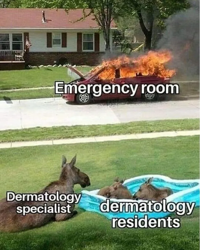 20 Hilarious Medical Memes That Will Lower Your Blood Pressure (Or Cause Mild Ventricular Fibrillation) 5 derm studebts