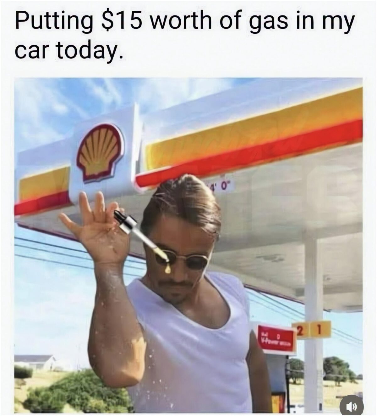 20 Memes That Slipped On A Banana Peel Of Irony And Landed On Pure Sass 22 worth of gas