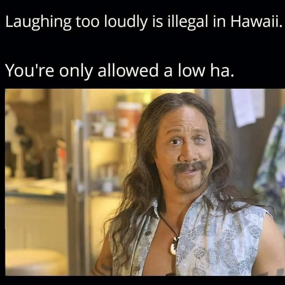 20 Memes From The Basement Of The Human Imagination 12 laughing tooo loudly