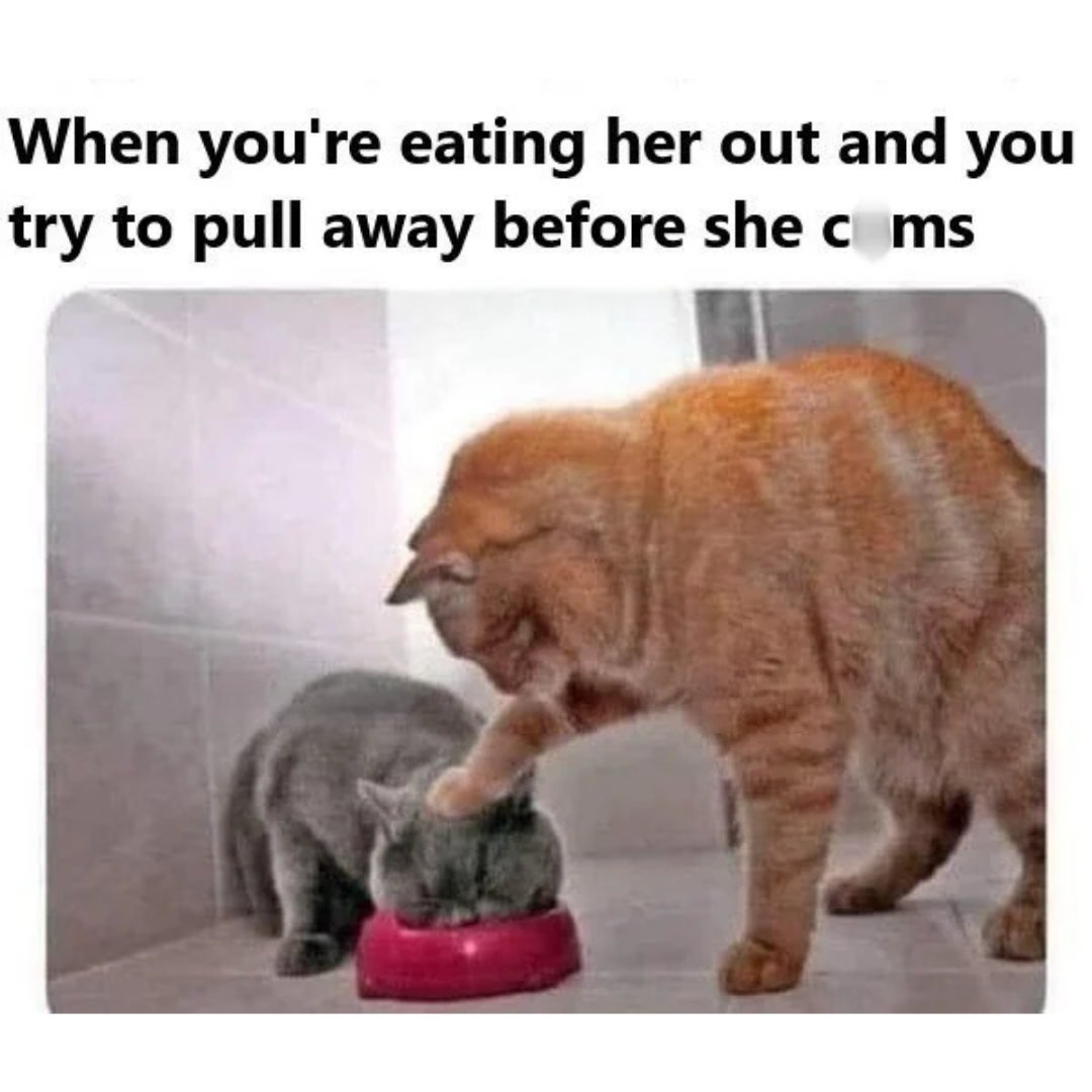 35 Slightly Inappropriate Memes That Still Passed the Vibe Check 26 pull away