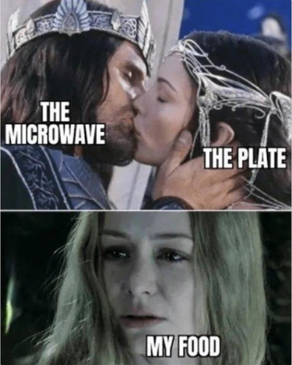 20 Memes From The Basement Of The Human Imagination 18 the microwave vs the plate