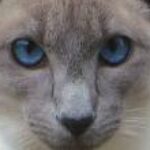 Profile picture of AndyS