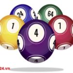 Profile picture of kikite5693