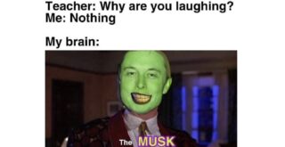 Memes That Are Serving Absolutely Nothing