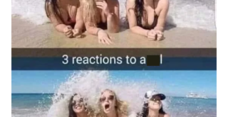Trending Memes 1 118955 featured