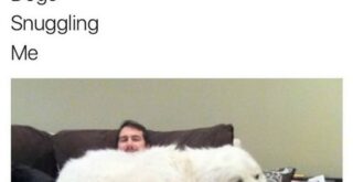 Trending Memes 8 119074 featured