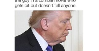 Trending Memes 7 Memes That Have Absolutely No Backstory - FG.jpeg