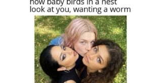 Trending Memes 6 Memes That Went Off the Rails Somewhere Around Meme - FG.jpeg