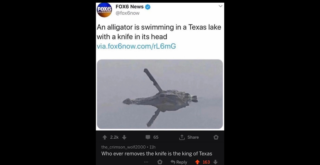 Trending Memes 9 20 Comments So Funny They Became The Main Character - FG