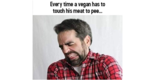 Trending Memes 3 Memes That Started Innocent and Then Got Weirdly Dirty - fg.png