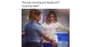 Trending Memes 7 Memes That Refuse to Pick a Personality - FG