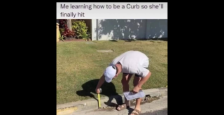 Trending Memes 10 Memes That Said โWhy Not?โ to Literally Everything - FG