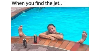 Trending Memes 3 Memes That Somehow Passed the Vibe Check and the Dirty Check - FG