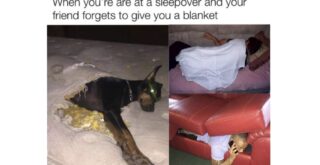 Funny Instances When Your Friend Forgets to Give You a Blanket - FG