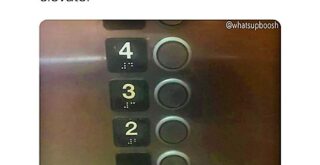 Trending Memes 10 Giggle-Inducing Memes - FG