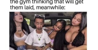Trending Memes 4 20 Memes That Feel Like a Rollercoaster Without a Seatbelt - FG.jpeg